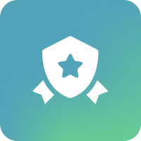 Security Audit For Custom