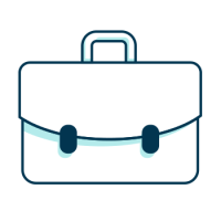 The Professional Plan