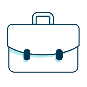 The Professional Plan